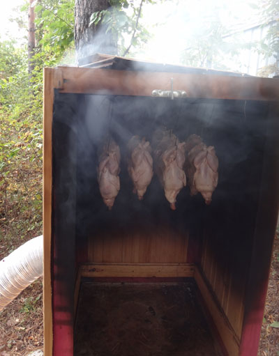 koptilna