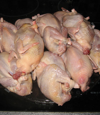 tushki